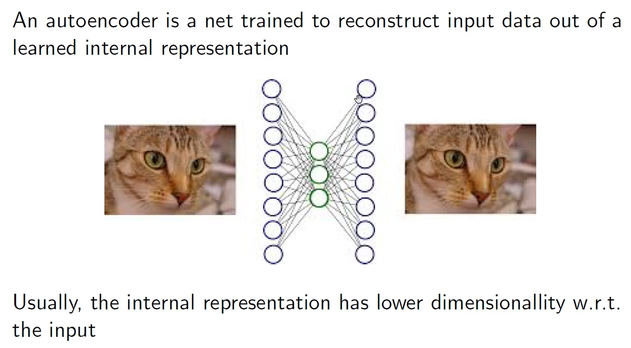 image/universita/ex-notion/Explainability of CNN/Untitled 7